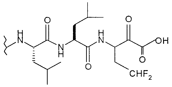 Figure imgf000021_0002
