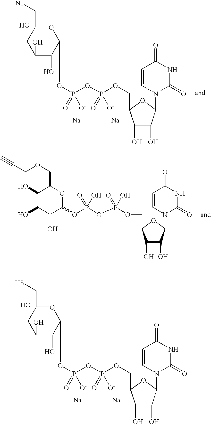 Figure US20080108557A1-20080508-C00165
