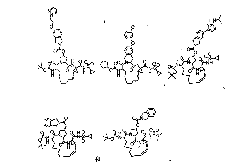 Figure FSB00000517652500031