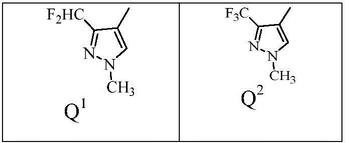 Figure BDA0002121832180000023