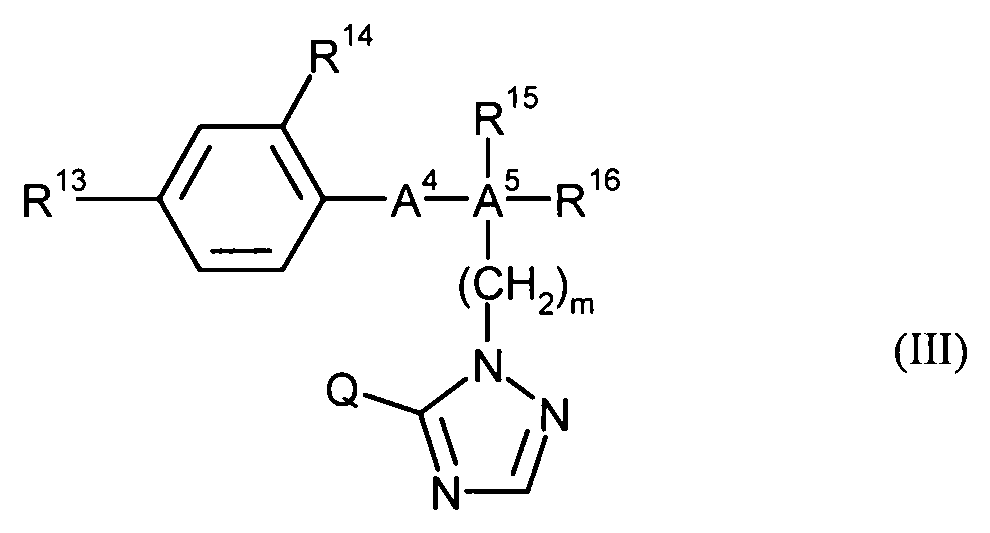 Figure DE102007045920B4_0007
