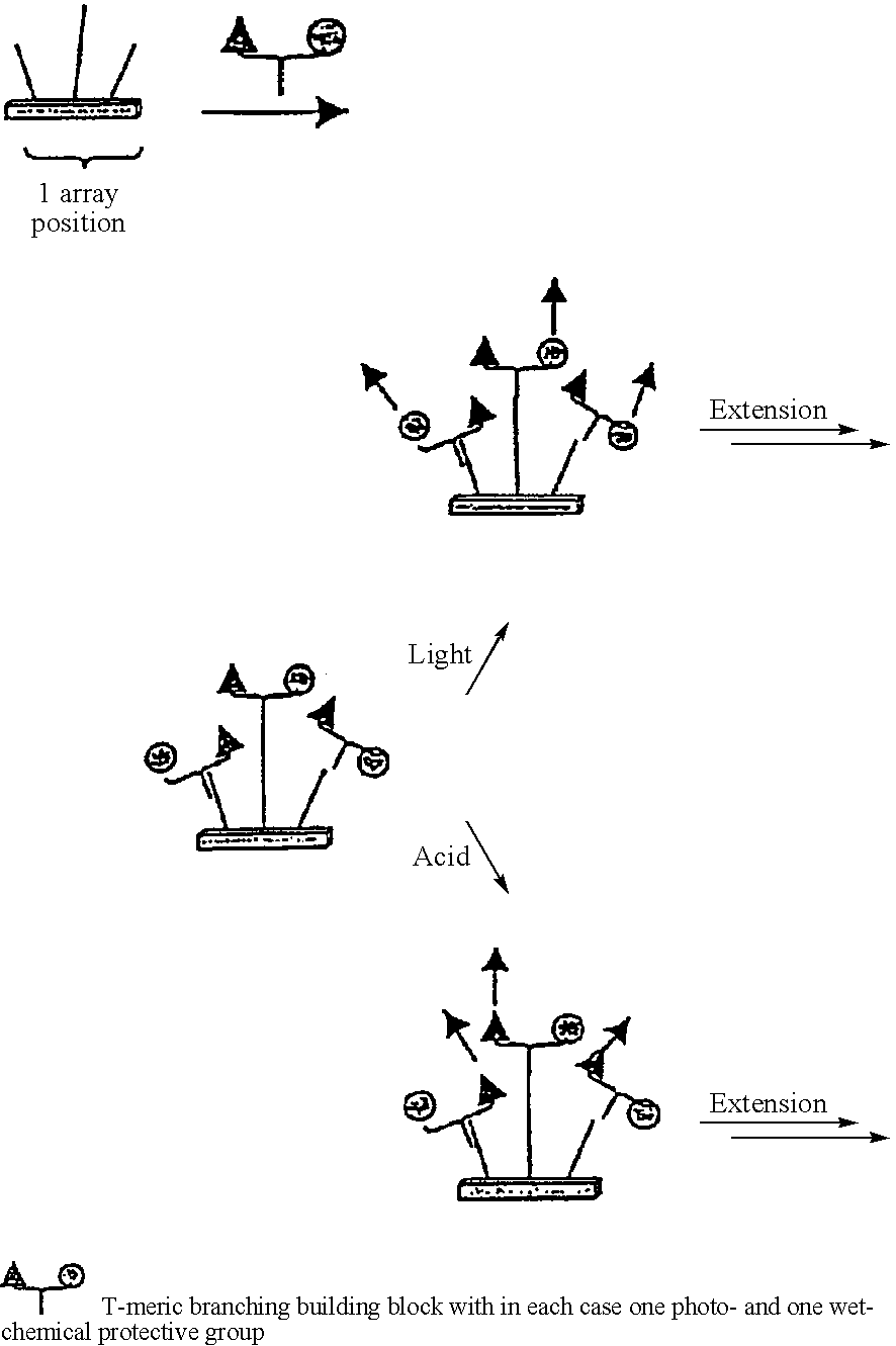 Figure US20040175490A1-20040909-C00004