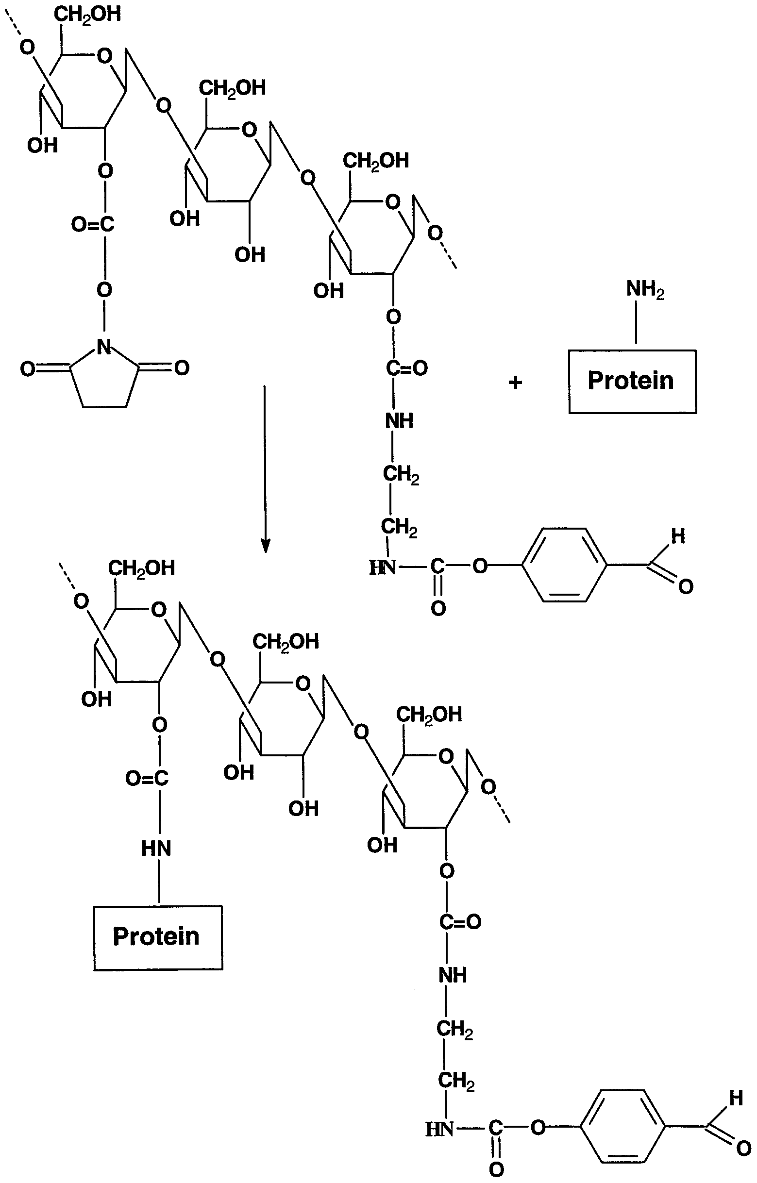 Figure imgf000050_0001