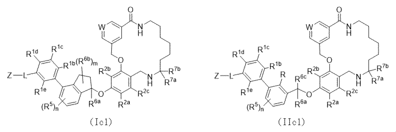 Figure 0007198269000012