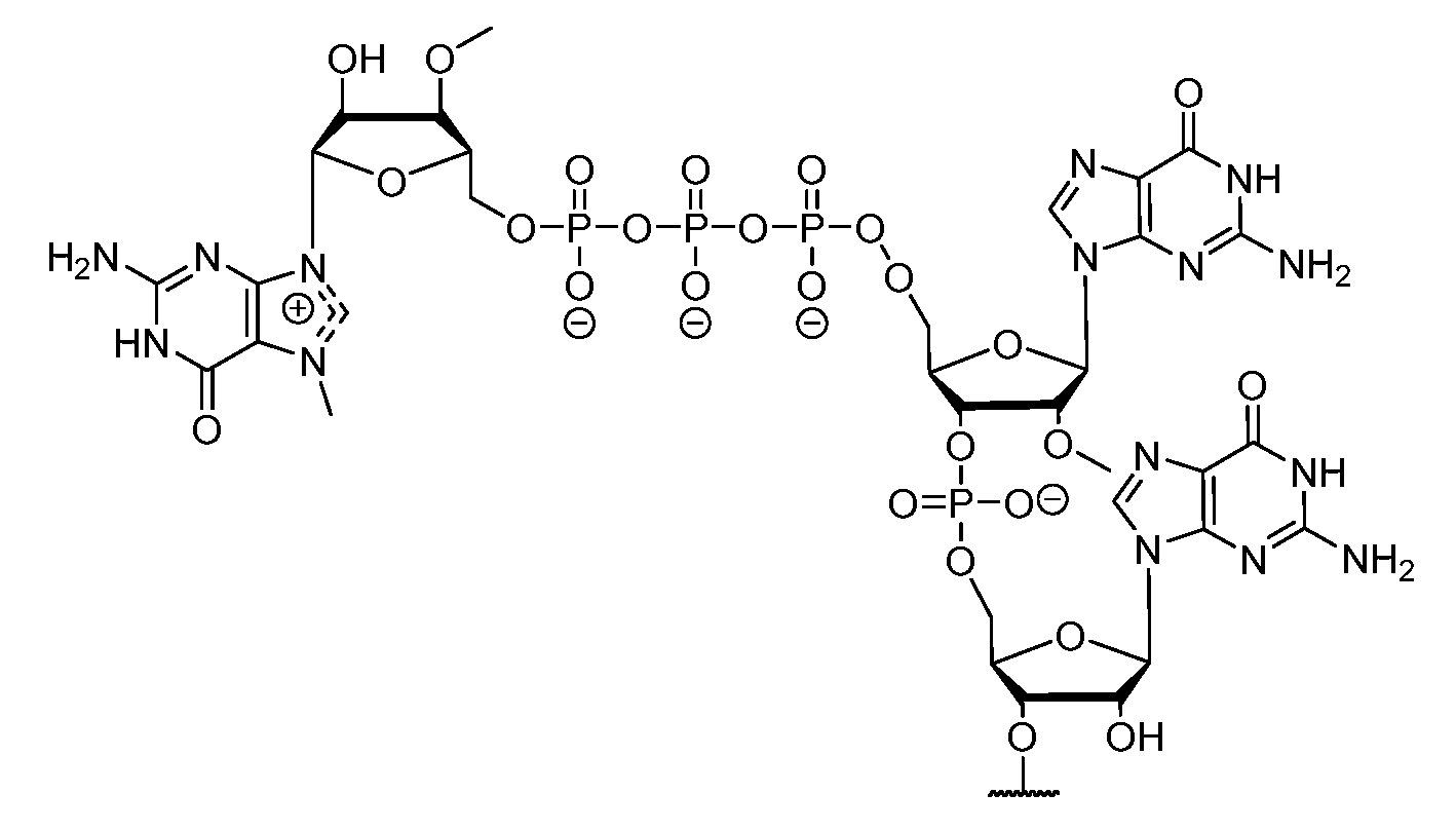 Figure imgf000219_0001
