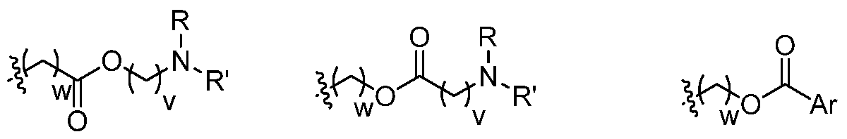 Figure imgf000006_0002