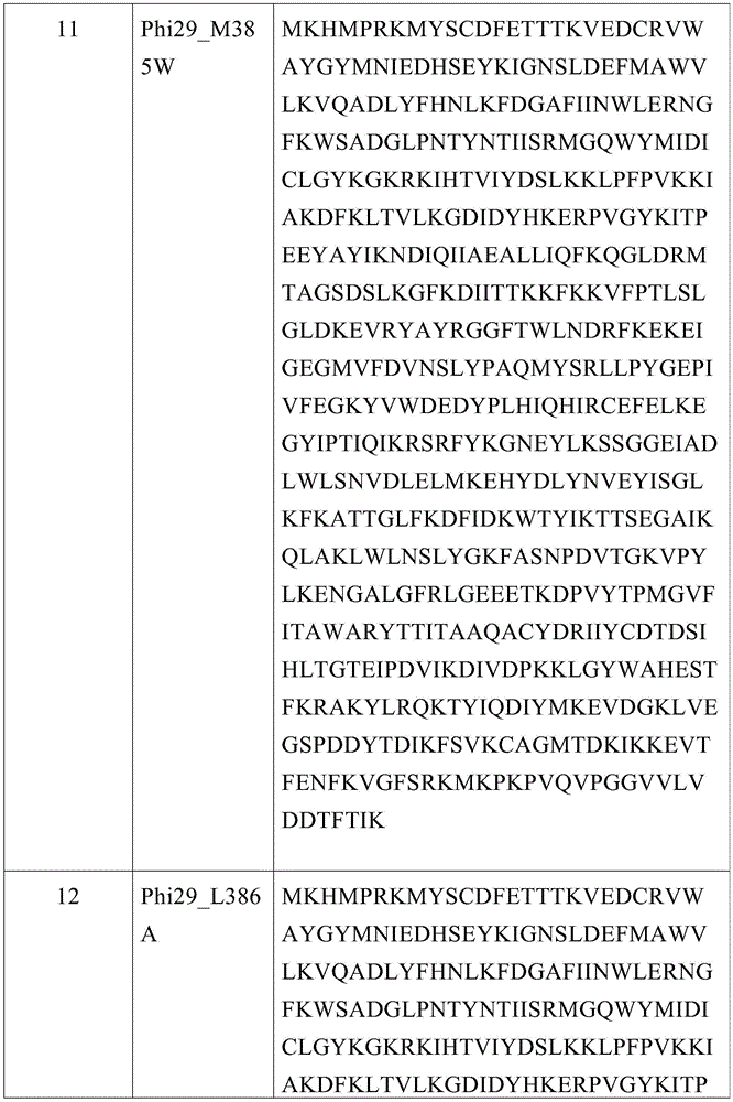 Figure BDA0003882873210000251