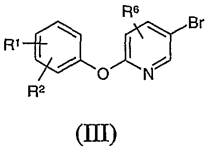 Figure imgf000019_0001