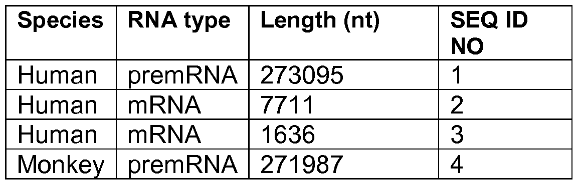 Figure imgf000013_0002