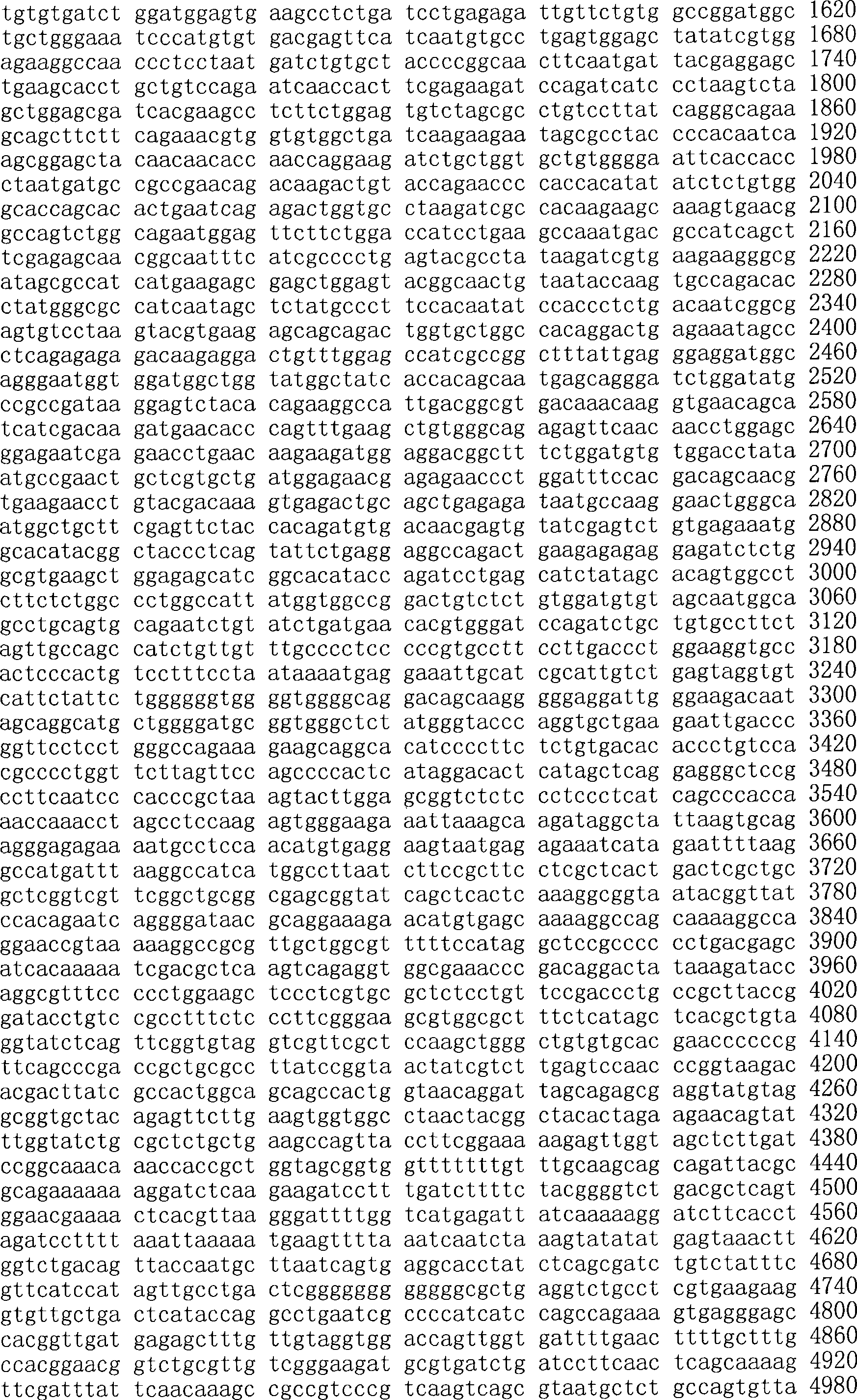 Figure A200780009494D03871