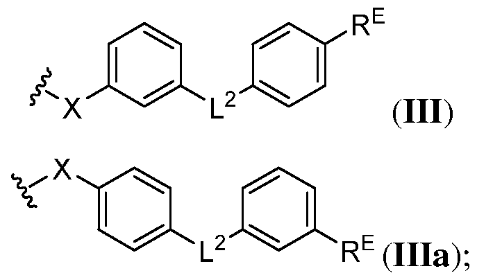 Figure imgf000013_0001