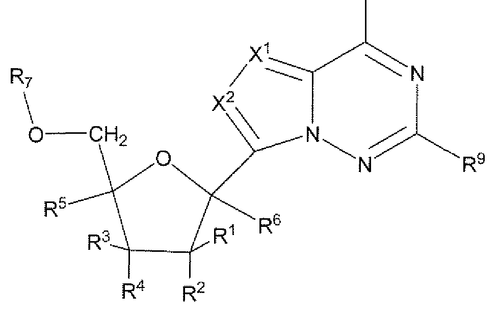 Figure imgf000005_0001