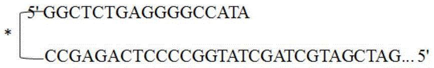 Figure BDA0001241830670000441
