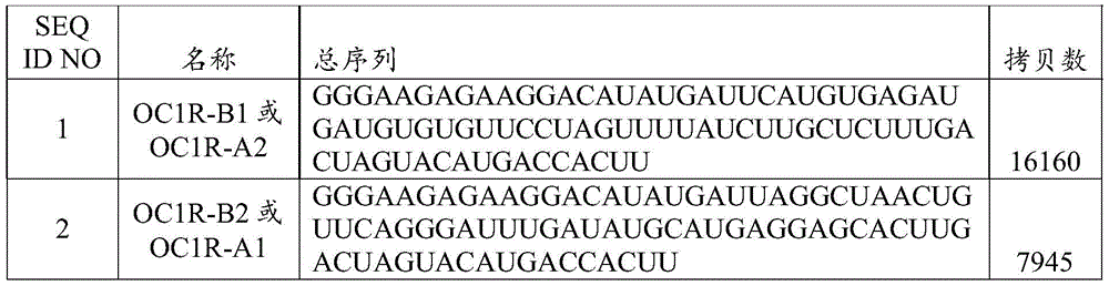 Figure BDA0002402678590000391