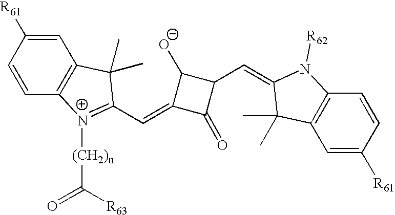 Figure US20070154927A1-20070705-C00026