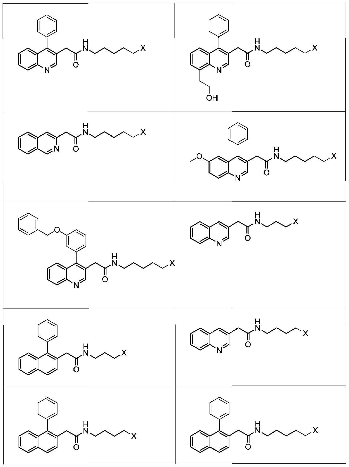 Figure imgf000010_0001