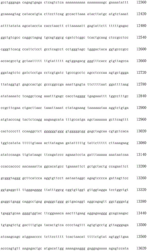 Figure IDA0003936212790000291