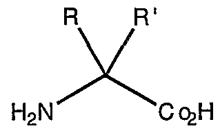 Figure imgf000052_0002