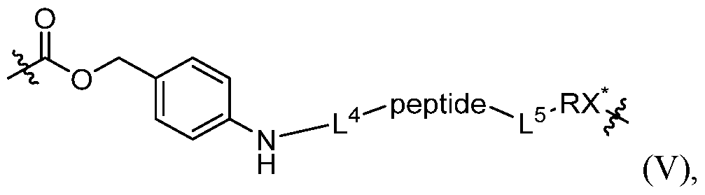 Figure imgf000032_0001