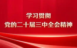 学习贯彻党的二十届三中全会精神