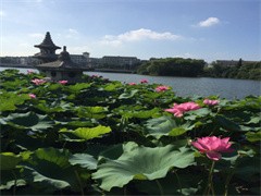 汕头跟团旅游价格 汕头旅游服务 古镇游领略古韵今风