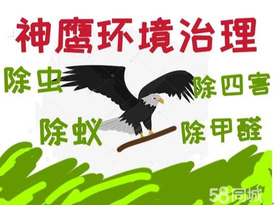 神鹰环境治理·本地公司专业上门灭抓捉捕老鼠杀虫服务除虫除蚁提供除蟑螂