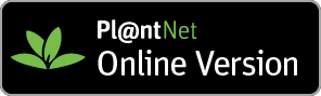 Pl@ntNet Online Version