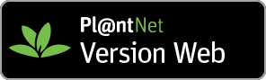 Pl@ntNet version Web