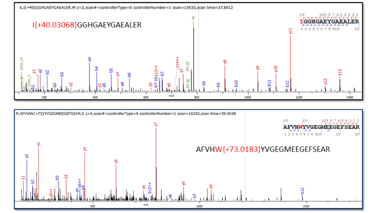 Peptide and Protein Identification