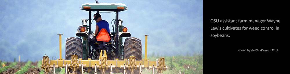 OSU assistant farm manager Wayne Lewis cultivates for weed control in soybeans. (Photo by Keith Weller, USDA)