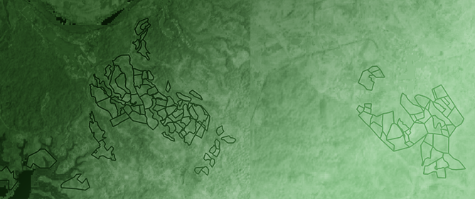 Monitoring Forest Dynamics and Conducting Restoration Assessment Using Multi-Source Earth Observation Data in Northern Andes, Colombia