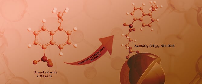 The One-Pot Synthesis of Au@SiO<sub>2</sub> Nanostructures and Surface Modification