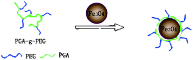 Graphical abstract: Size-controlled preparation of magnetite nanoparticles in the presence of graft copolymers