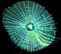 Graphical abstract: Spider silk as archetypal protein elastomer