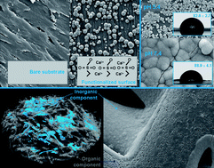 Graphical abstract: Designing biomaterials based on biomineralization of bone