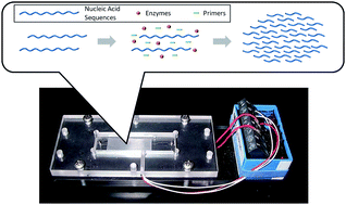 Graphical abstract: Miniaturized isothermal nucleic acid amplification, a review