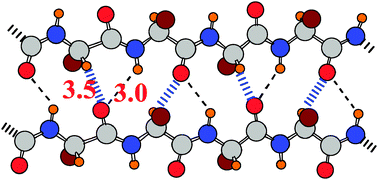 Graphical abstract: Weak H-bonds. Comparisons of CH⋯O to NH⋯O in proteins and PH⋯N to direct P⋯N interactions