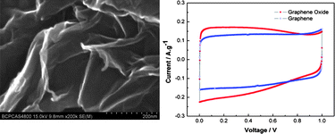 Graphical abstract: What is the choice for supercapacitors: graphene or graphene oxide?