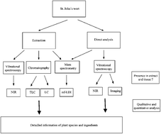 Graphical abstract: A chromatographic and spectroscopic analytical platform for the characterization of St John's wort extract adulterations