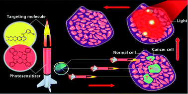 Graphical abstract: A novel strategy for targeting photodynamic therapy. Molecular combo of photodynamic agent zinc(ii) phthalocyanine and small molecule target-based anticancer drug erlotinib