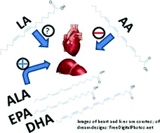 Graphical abstract: The role of n − 6 and n − 3 polyunsaturated fatty acids in the manifestation of the metabolic syndrome in cardiovascular disease and non-alcoholic fatty liver disease