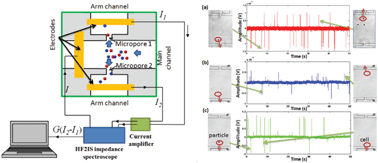 Graphical abstract: A microfluidic impedance flow cytometer for identification of differentiation state of stem cells