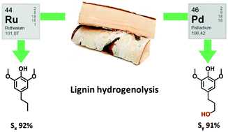 Graphical abstract: Tuning the lignin oil OH-content with Ru and Pd catalysts during lignin hydrogenolysis on birch wood