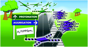 Graphical abstract: Hierarchically controlled protonation/aggregation of a porphyrin–spermine derivative