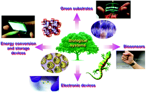 Graphical abstract: New insights and perspectives into biological materials for flexible electronics