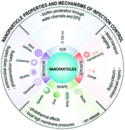 Graphical abstract: Nanotechnology-based antimicrobials and delivery systems for biofilm-infection control