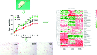 Graphical abstract: A combination of quercetin and resveratrol reduces obesity in high-fat diet-fed rats by modulation of gut microbiota