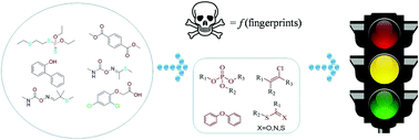 Graphical abstract: In silico prediction of chronic toxicity with chemical category approaches