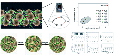 Graphical abstract: Self-healing strain sensors based on nanostructured supramolecular conductive elastomers