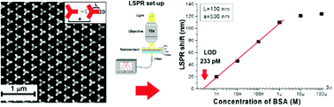 Graphical abstract: Engineered nanopatterned substrates for high-sensitive localized surface plasmon resonance: an assay on biomacromolecules